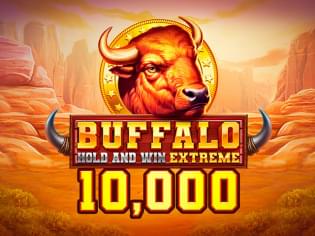 Buffalo Hold and Win